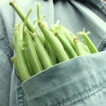 beans in my pocket