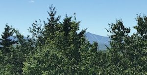 Southern view of the ski slopes