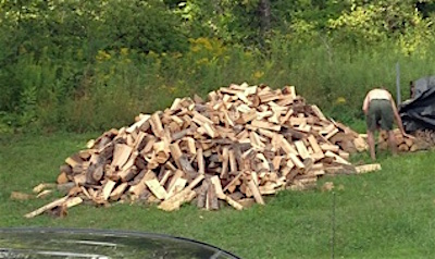 A Renewed Focus on the Woodpile!