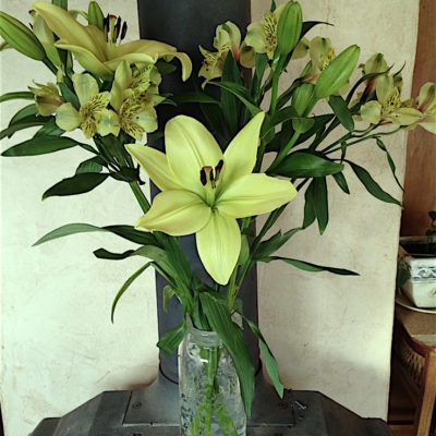 Lilies on the Woodstove