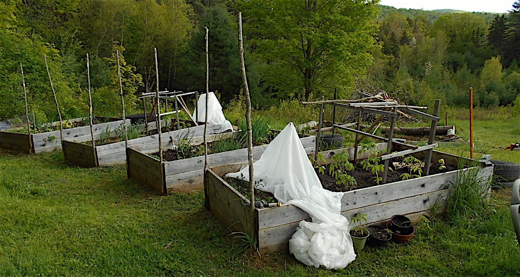 The Garden is Mostly Planted! And Early This Year