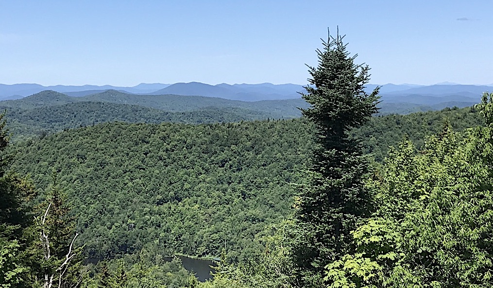 A Beautiful View from Luce’s Lookout