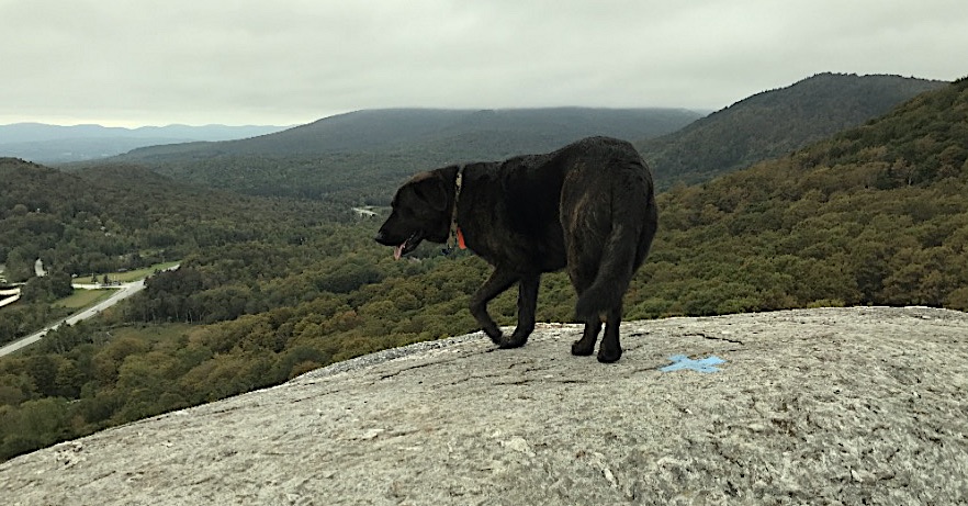 Cloudy Day on Deer Leap Mountain